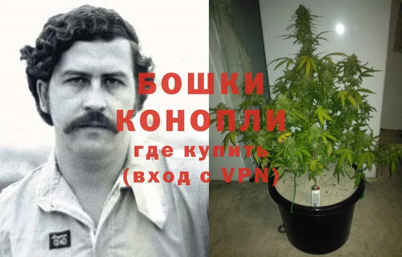 Марихуана White Widow  Павловский Посад 